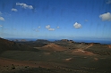 Kanary_2010 124